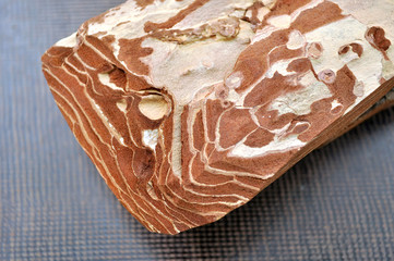 piece of wood