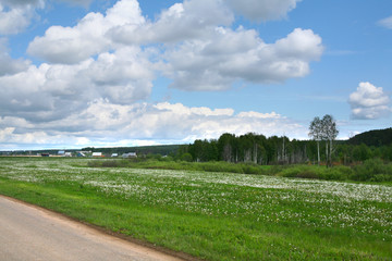 Obraz premium Road to the horizon