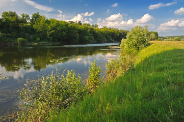 Fototapeta na wymiar Landscape with river and trees in summer