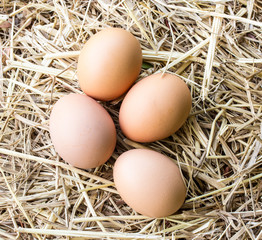 Chicken eggs on a straw bazaar counter