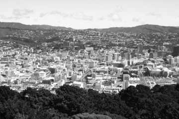 Wellington black white - New Zealand