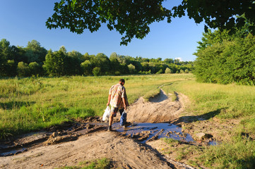 puddle on the road near trees