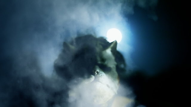 Killer catface knife night moon threat smoke