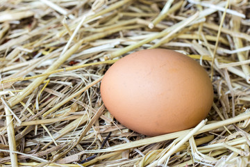 Chicken eggs on a straw bazaar counter