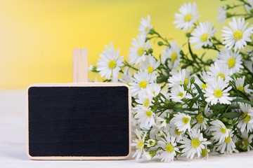 heilpflanzen mit tafel