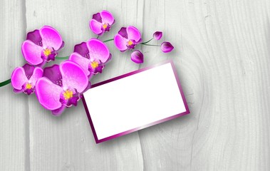 Pink orchid background
