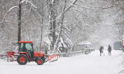 Winter in English Garden, Munich, Bavaria