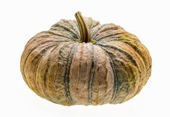 Pumpkin on white background