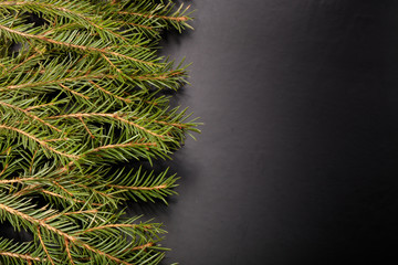 branches of a Christmas tree on a dark background. With space fo