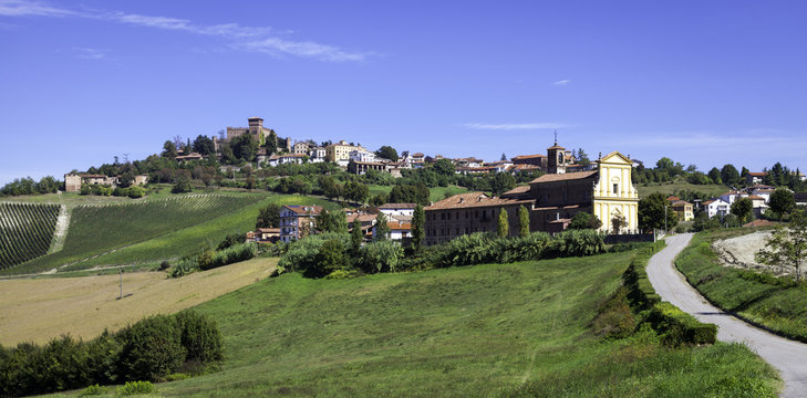 Monferrato hilly region, summer panorama. Color image