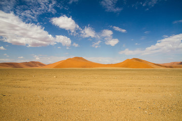 Fototapeta na wymiar The red sand dunes of the Sossusvlei desert, Namibia
