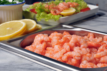crevettes rose