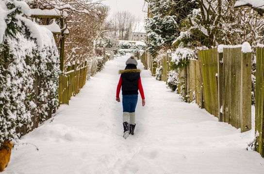 winter