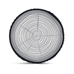 Fototapeta premium Tree Rings Vector