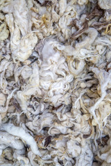 Raw wool on the market