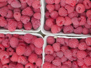 raspberry market organic