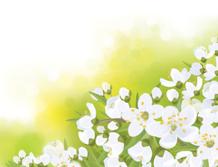 Vector spring blossoming tree on bokeh background.