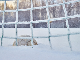 Snowy soccer field
