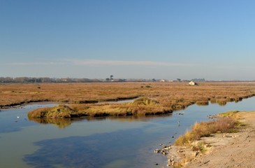 Polder de Noirmoutier