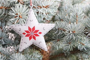 Fototapeta na wymiar Christmas tree detail