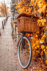 Amsterdam autumn. beautiful places in Europe