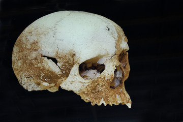 Cráneo primitivo, Mérida, Badajoz, España - obrazy, fototapety, plakaty