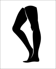 Woman legs silhouette vector