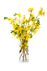 Obraz premium Springtime Bouquet