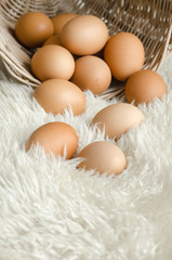 Close up eggs in old basket on white wool