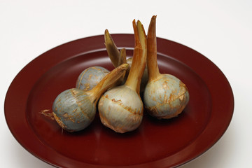 加賀野菜　くわい