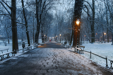 Fototapeta premium Planty - city park in Krakow, Poland.