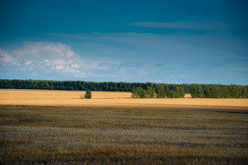 Obraz premium Konstantinovo- the birthplace of russian poet Sergei Yesenin