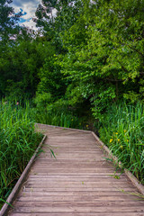 Boardwalk trail along the pond at Patterson Park, Baltimore, Mar