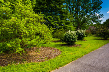 Bushes and trees along a path at Cylburn Arboretum, Baltimore, M