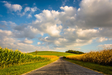 Country road and large hill, near Spring Grove, Pennsylvania.