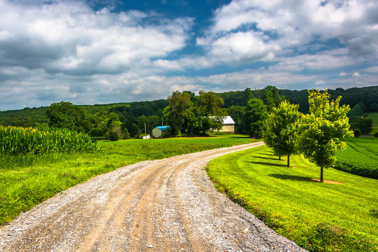 Farm Fields Along A Dirt Road In Rural Carroll County, Maryland.