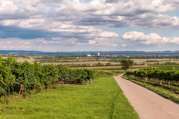 Weinviertel/Niederösterreich