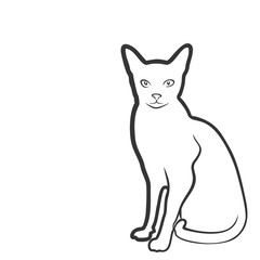 КОТ