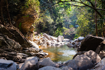 Landscape with river and stones in jungle