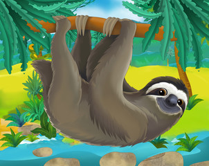 Cartoon scene - wild South America animals - sloth - illustration for the children © agaes8080