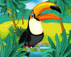 Cartoon scene - wild South America animals - toucan - illustration for the children © agaes8080