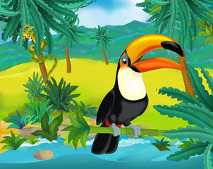 Cartoon scene - wild South America animals - toucan - illustration for the children © agaes8080