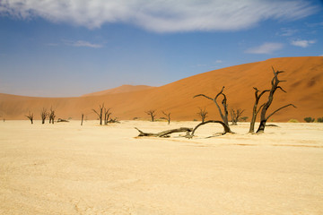 Sossusvlei desert, Namibia