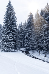 Stream in winter landscape