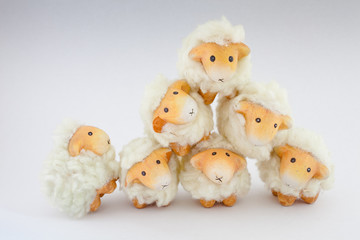 Eight cute sheep playing together