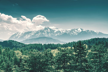 Retro Photo Of Carpathian Mountains Landscape In Summertime