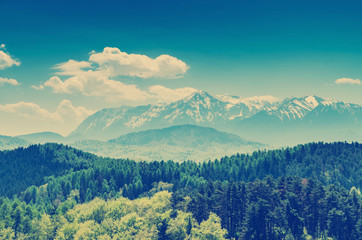 Retro Photo Of Carpathian Mountains Landscape In Summertime - 75401085