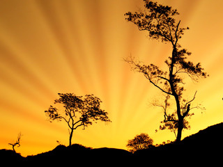 Fototapete bei efototapeten.de bestellen   