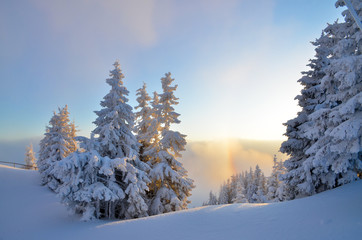 Mountain landscape in winter, with snow on trees and rainbow