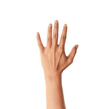 Hand isolted on white background